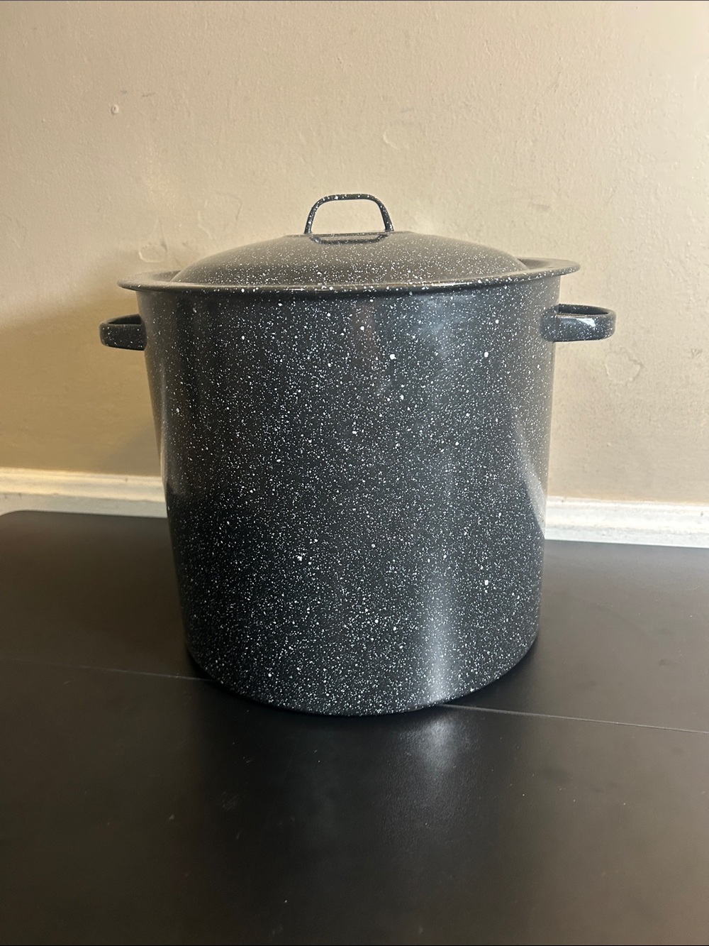 Black Speckled Stockpot with Lid - Heavy-Duty Cooking Pot Large.